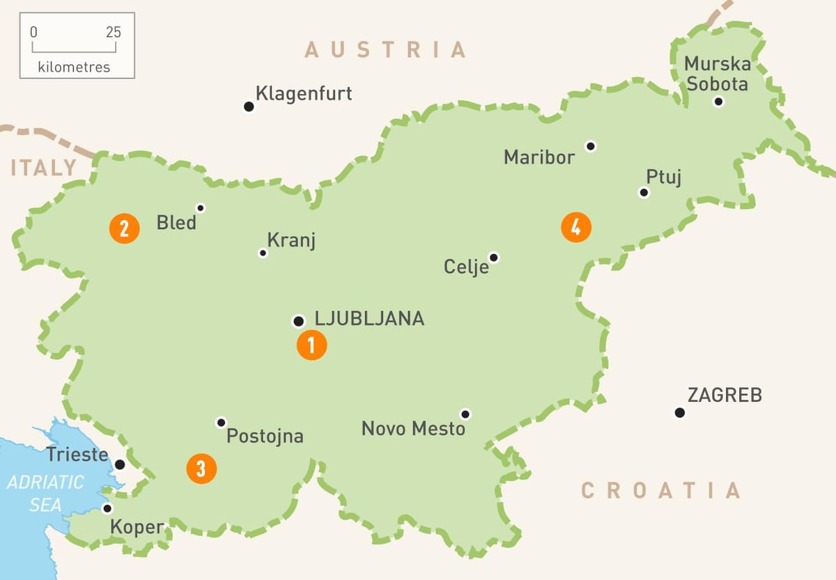 Карта на Словенија региони